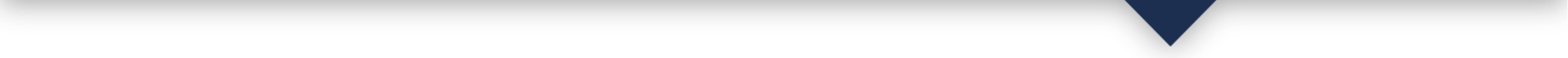 bg-form-border-down-arrow